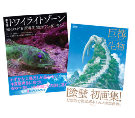 『巨構生物』『美ら海トワイライトゾーン』ページの開きについて