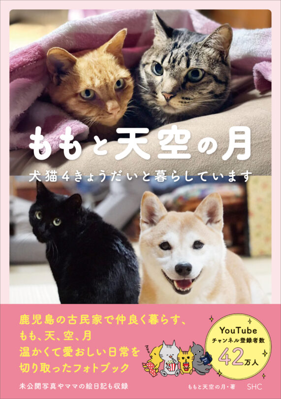 ももと天空の月 犬猫４きょうだいと暮らしています